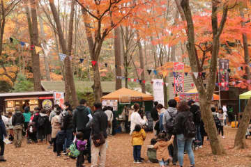 【清水公園】冬の清水公園がアツい‼『Winter Market 2024 in Shimizukouen』開催　キャンプ場に野田市周辺のお店が集まるウィンターマーケット