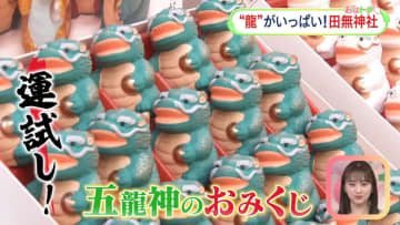         境内に多数の龍神　鳥居に巻き付く昇龍＆降龍　2024年辰年 “龍”にまつわる神社特集      