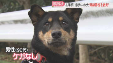         お手柄ワンちゃん！　散歩中の蓮くんがいつもと違う道へ　うずくまる高齢男性を発見　福岡      