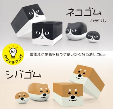 愛着が湧く消しゴム「ネコゴム」にハチワレ。「シバゴム」も登場
