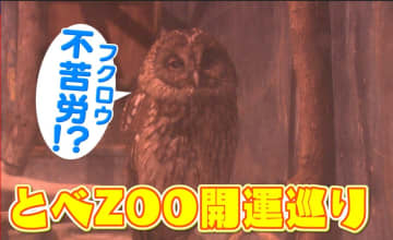         縁起が良い動物たちに…今年イチオシのニューフェイスにも出会える！とべZOO開運めぐり       
