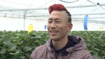         イチゴの溺愛ソングを自作！“イチゴ愛”溢れる赤髪パパの正体とは？      