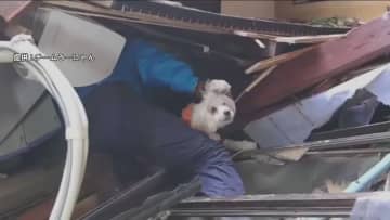 「そこにいるね！いてよ！」崩れたがれきの下から犬の鳴き声が…地震発生から約66時間後　諦めかけた命の救出劇