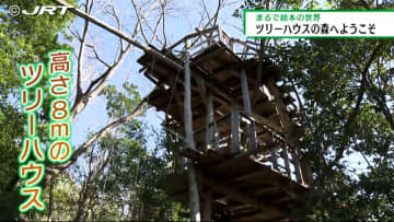         まるで絵本の世界　自然が溢れ遊び心くすぐる「ツリーハウスの森」へようこそ【徳島】      