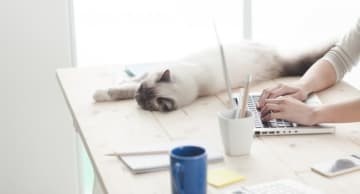 副業する余裕がない? 時間を効率的に使って副業する方法
