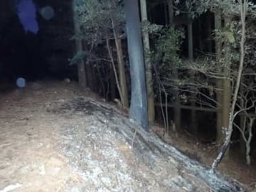 【速報】焼けた車の中に男性遺体　大多喜の林道、20代～40代ぐらい　千葉県警、50人態勢の特別捜査班を設置　死体遺棄事件で捜査