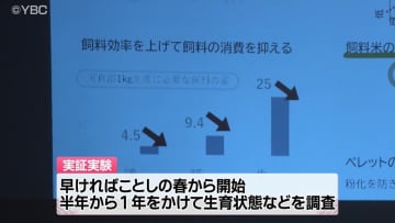        米沢市のベンチャー企業が家畜用の新飼料開発　栄養吸収率高くコスト削減に期待　養鶏会社と実証実験開始へ「素晴らしい経費削減。ブランド鶏作りたい」　      