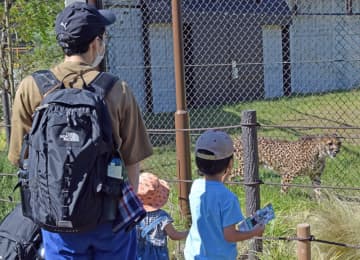 千葉市動物公園の入園料100円値上げ、大人800円に　6月から　飼料・光熱費高騰影響で