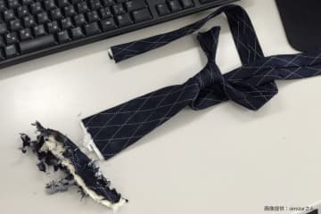職場デスクに置かれたズタズタのネクタイ、よく見ると…　驚きの正体が「怖すぎる」と波紋
