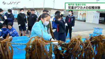         地元の児童が特産のワカメの収穫体験　しゃぶしゃぶやみそ汁で旬の味覚を味わう【徳島】      