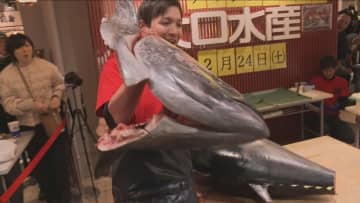         金沢・近江町市場でマグロのチャリティー解体ショー　売り上げは全額石川県に寄付      