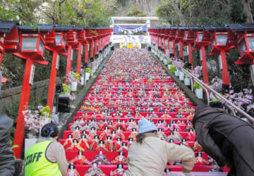 石段埋める人形1800体　勝浦、華やか「ビッグひな祭り」　市内あちこちで展示に工夫