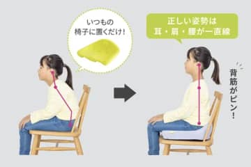 チバテレ 骨盤クッション