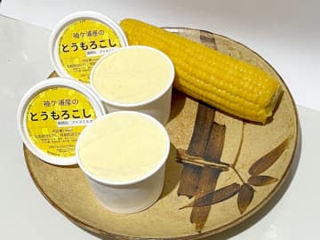 とうもろこしアイス　最新スイーツ部門準V　袖ケ浦「にっぽんの宝物」