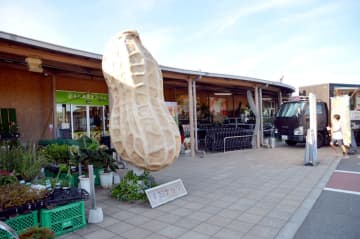 新タマネギにサツマイモも…　500円で！農産物を詰め放題　木更津の道の駅、あす2日から