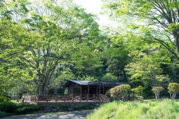 柏の葉公園に本格カフェ　今夏オープン、BBQ場も　千葉県立公園で初めて