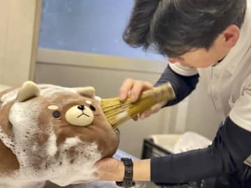 ぬいぐるみの「宅配クリーニング」が大バズリ　ヒットの理由を聞いた