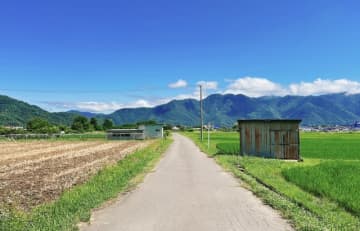 これぞ真の「ゆるふわ田舎生活」！ 週末の散歩で月5万円を稼ぐ男性
