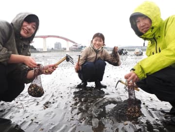 アサリ順調に成育　木更津・5海岸の潮干狩り場　24日から順次オープン　ハマグリ探しイベントも
