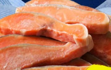 ふるさと納税お礼品　勝浦市「訳あり」銀鮭、鮮魚の人気1位に　