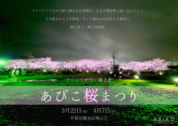 水と桜のコラボレーション　手賀沼遊歩道の桜がライトアップ　我孫子・手賀沼親水広場