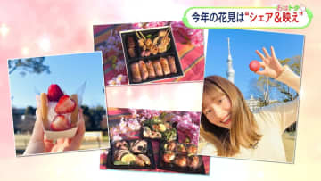         お花見は“シェア”＆“映え”　2024年のキーワード！？　お花見スポット近くのデパートでお弁当＆スイーツを調査！      