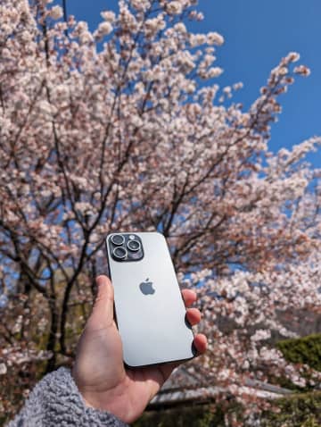 iPhoneで「桜」を撮ろう　手軽により美しく撮るコツ