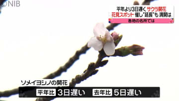         長崎でサクラの開花発表　去年より5日遅く　徐々に咲き始めた花見スポットも《長崎》      