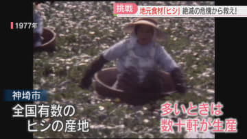         地元で愛された食材を守るため大学生が「救い隊」を結成！　生産量が激減した「ヒシ」で新メニューを　佐賀      