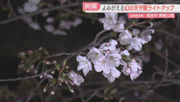         【中継】福岡城の「幻の天守閣」ライトアップ点灯の瞬間をどうぞ　ようやく開花！さくらまつり始まる      