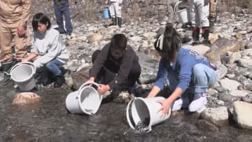 国内有数の透明度｢銚子川｣　稚アユの放流　三重・紀北町