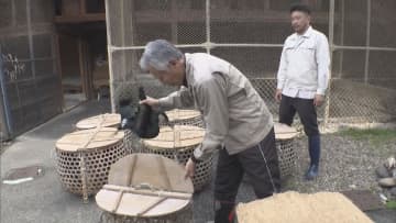 「ぎふ長良川の鵜飼」５月開幕に向け「鵜の検診」　岐阜市