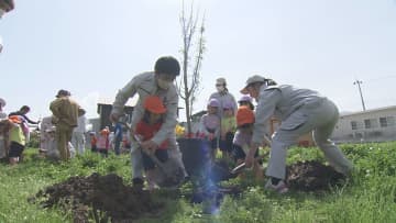 伊予市のこども園 園児たちが果物の苗木植えつけ 高校生のサポートで畑が完成