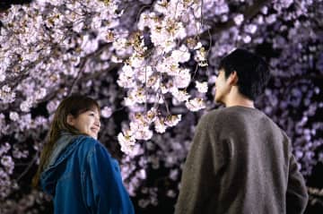 七苗（川口春奈）とコウタロウ（松下洸平）が桜の木の下で見つめ合う場面写真が公開『9ボーダー』第2話あらすじも到着