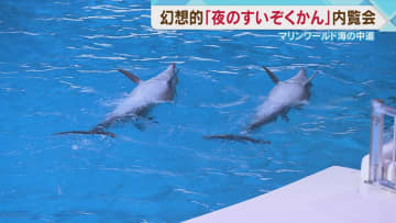 夜景バックのイルカショーや約2万匹のイワシの群れ　「夜のすいぞくかん」　4月27日から　マリンワールド海の中道　福岡市