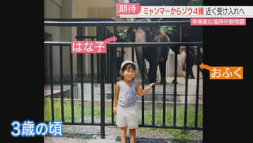 もうすぐゾウがやってくる！3歳で初めてゾウを見た飼育員が受け入れ準備「人の気持ちが分かる動物」　福岡市動物園