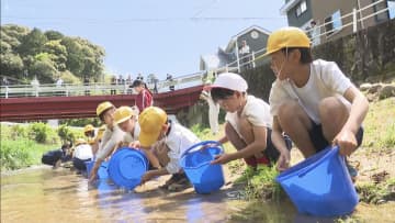 小学生が稚アユ約400匹を放流　夏には22センチほどに成長　愛知・岡崎市