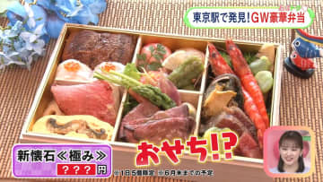 海鮮・お肉・懐石など目白押し！　GWなどのお出かけに…豪華絢爛　東京駅のプチ贅沢な弁当をエリアごとに大調査!