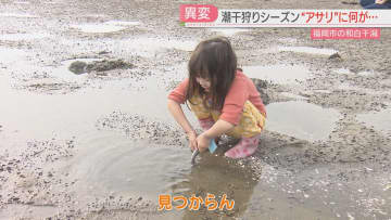 【なぜ】潮干狩りシーズンなのに…和白干潟のアサリに異変「小さい」「みそ汁にできない」大雨が影響か　福岡県全体も減少傾向