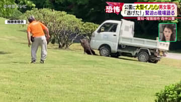 「逃げた！」撮影者が語る緊迫の瞬間、人を襲ったイノシシと公園職員が“にらみ合い”