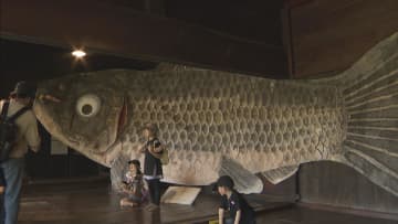 全長９.５メートル　和紙でつくられた巨大こいのぼり展示　岐阜・高山市「飛騨の里」