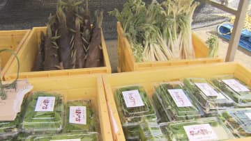 “ウド”や“タラの芽”に長蛇の列 早川町で恒例の山菜祭り 旬の味楽しむ 山梨県