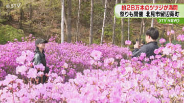 ２８万本のツツジが満開に咲き誇る　「ツツジ祭り」も開催で賑わい見せる　北見市留辺蘂町