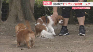 春日公園にドッグランを新設　犬の服やエサは体に優しいものを　「ワンヘルス」で人と動物の健康と環境保全に取り組む　福岡