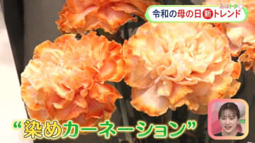 2024年母の日トレンド“染めカーネーション”で世界にひとつだけの花を贈る！　なぜか人気“加熱寿司”