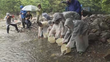 小学生がアマゴ稚魚３０００匹を放流　川の大切さを学ぶ校外学習　三重・尾鷲市