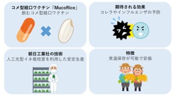 コメを使った経口ワクチン開発へ　朝日工業社が製造プロセス管理を受託