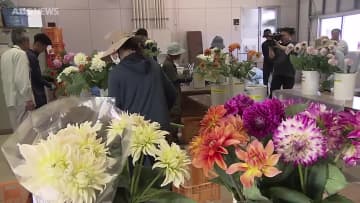 生産拡大を目指し　ダリアの専門研修スタート