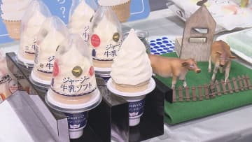 今年のトレンドは”高級路線” アイスクリームの商談会に300種類が出品