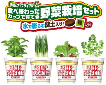 カップヌードルに草生える!? 「カップヌードル 野菜栽培コンプリートセット」が数量限定発売～空きカップを鉢にして、水で膨らむ不思議な“謎土”と種のセットで野菜を育てる! 育てた野菜はちょい足しに